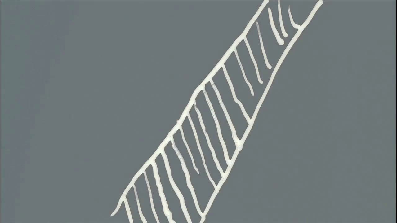 Crossing Victoria | Steve Woloshen | 2013