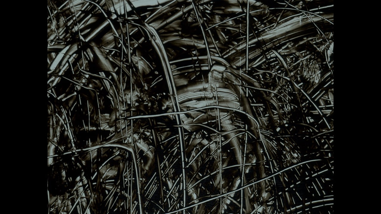 Mouvement de lumière | Karl Lemieux | 2004