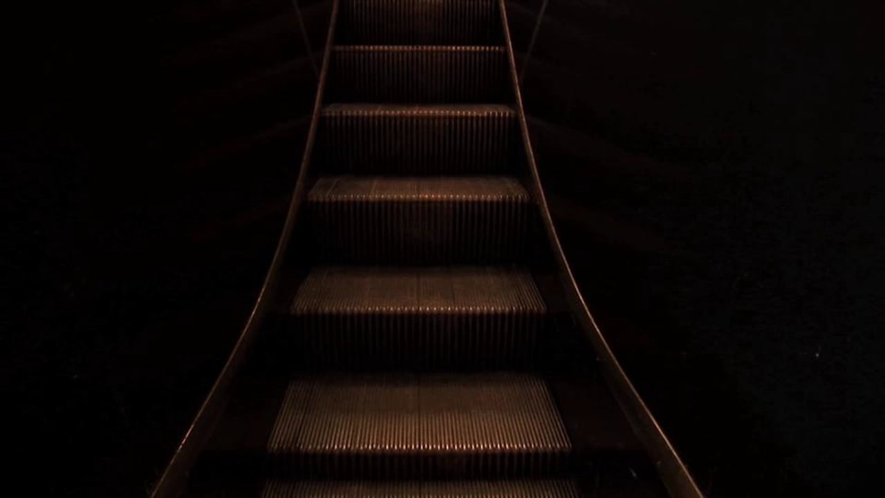 Tashina | Caroline Monnet | 2010