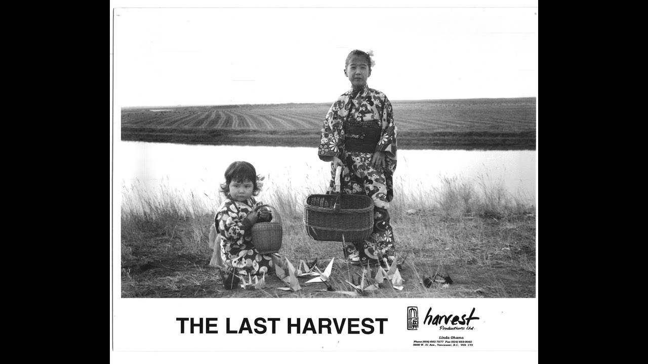 The Last Harvest [excerpt] | Linda Ohama | 1992