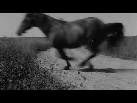 On the way to the sea [trailer] | Tao Gu | 2010